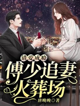 余晚陆野小说