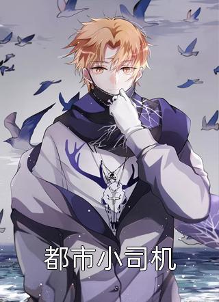 宋心月陆晏安