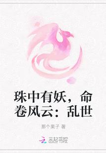 宋窈严司琛的小说名